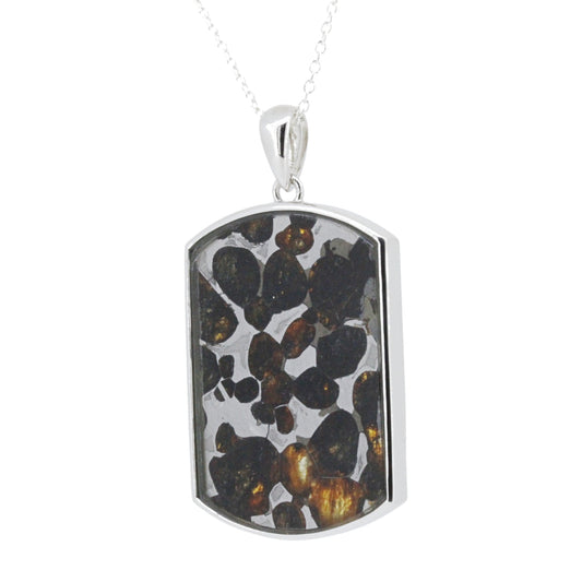 セリコ・パラサイト隕石 ケニア産 シルバーペンダント 24×46mm CH-FEB25-010