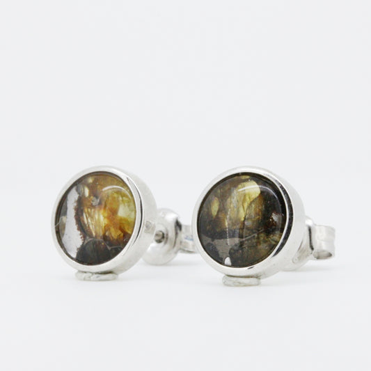 セリコ・パラサイト隕石 ケニア産 シルバースタッドピアス 9×9mm CH-FEB25-012