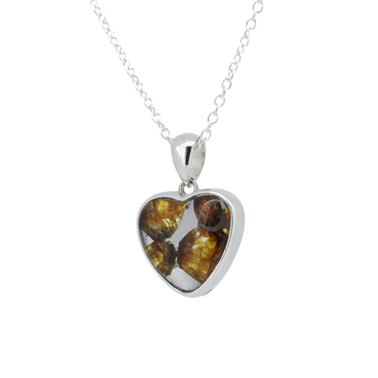 セリコ・パラサイト隕石 ケニア産 シルバーペンダント 13×20mm CH-FEB25-004