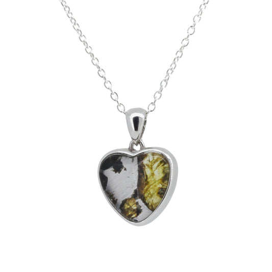 セリコ・パラサイト隕石 ケニア産 シルバーペンダント 13×20mm CH-FEB25-005