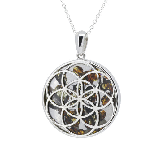 セリコ・パラサイト隕石 ケニア産 シルバーペンダント (シードオブライフ) 27×35mm CH-APR25-007