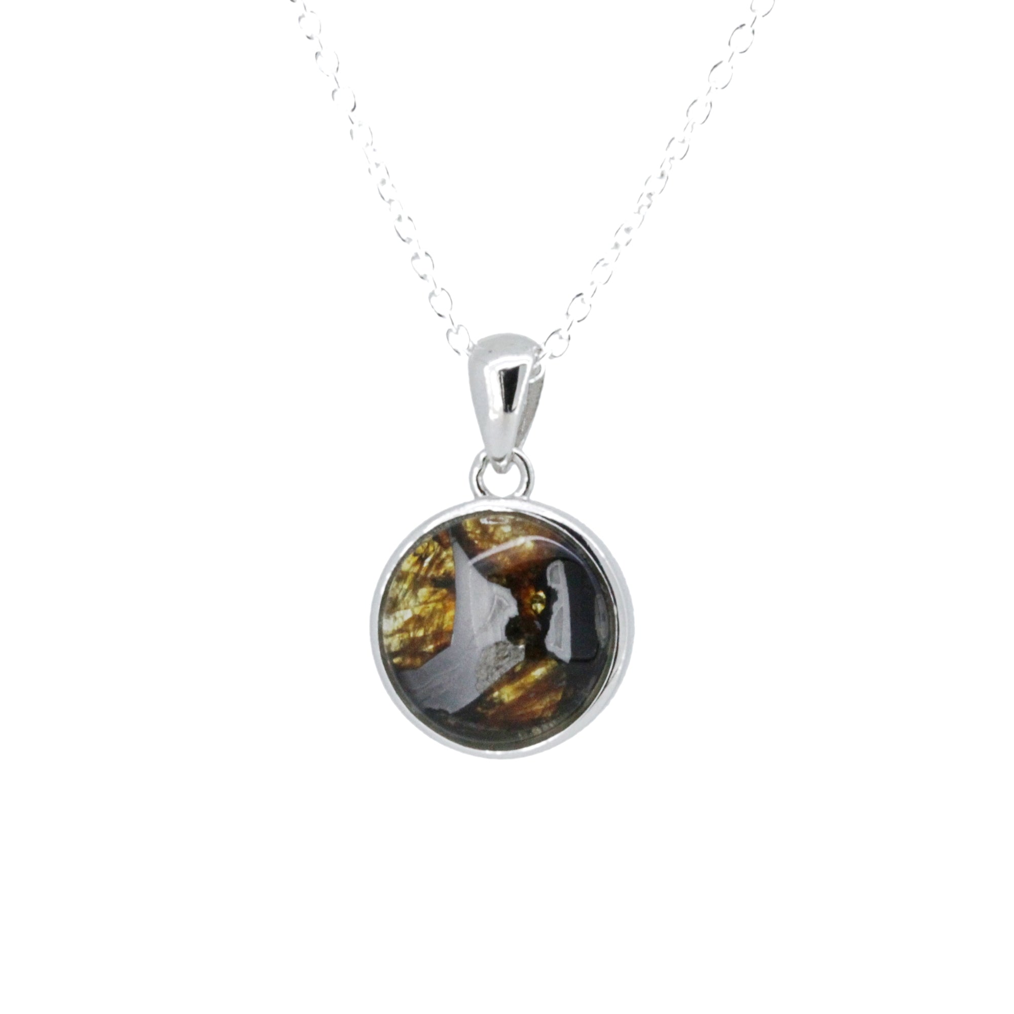 セリコ・パラサイト隕石 ケニア産 シルバーペンダント 14×21mm CH