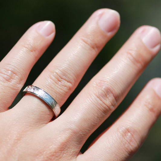 ムオニオナルスタ隕石 チタンリング 幅4mm TRMT-388