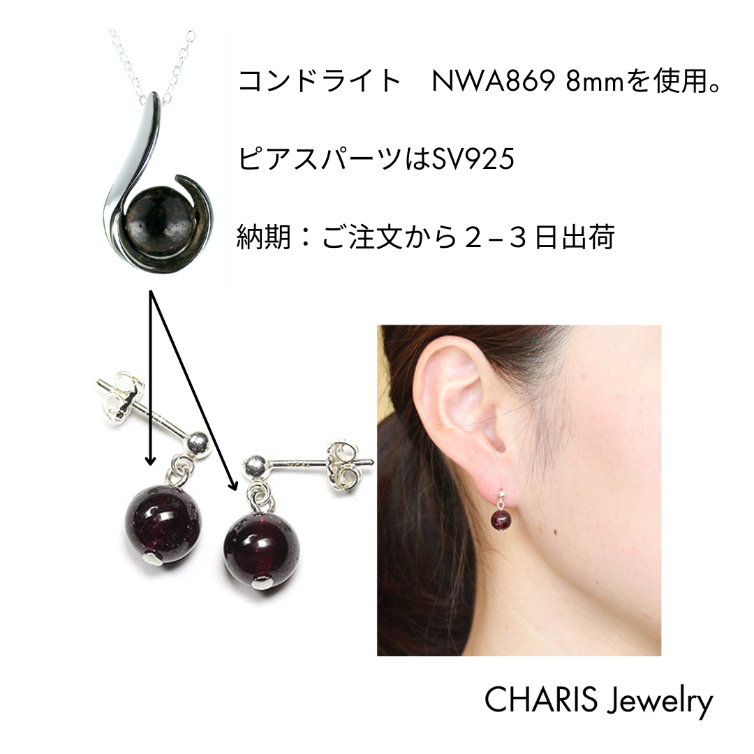 コンドライト NWA869 シルバーピアス 幅8mm